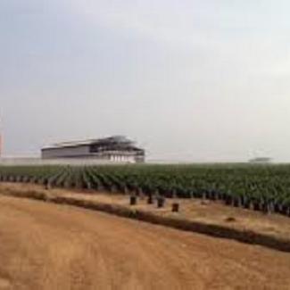 Socfin highly commended: says Parliamentary Committee