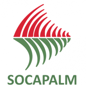 Cameroun – Entreprises: Les performances de la Socapalm et Safacam