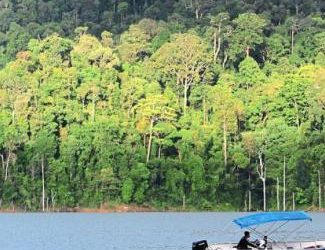 Malaysia is green and growing