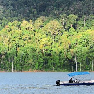 Malaysia is green and growing