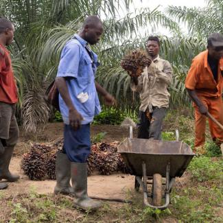 Dieu est intervenu en notre faveur, Brabanta, la plantation ressuscitée
