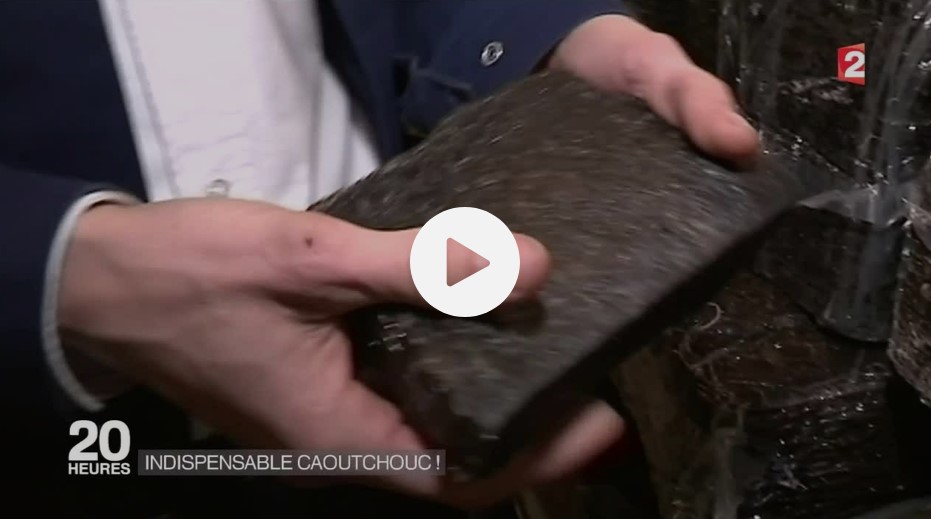 Caoutchouc : un matériau stratégique