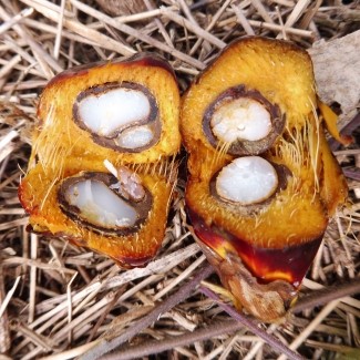 Parce que l’Afrique vaut plus qu’un simple rapport