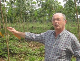 L’agriculture traditionnelle africaine ne nourrit pas les villes