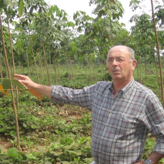 L’agriculture traditionnelle africaine ne nourrit pas les villes