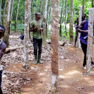 ‘Afrika heeft kapitaal en ondernemers nodig’