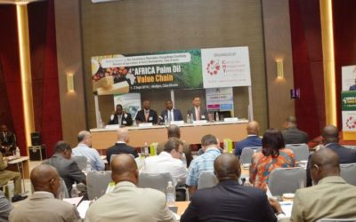 Côte d’Ivoire/ “L’huile de palme est bien placée pour répondre au défi de la sécurité alimentaire” (Ministre)