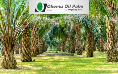 Projects Execution– Host Communities Land Okomu