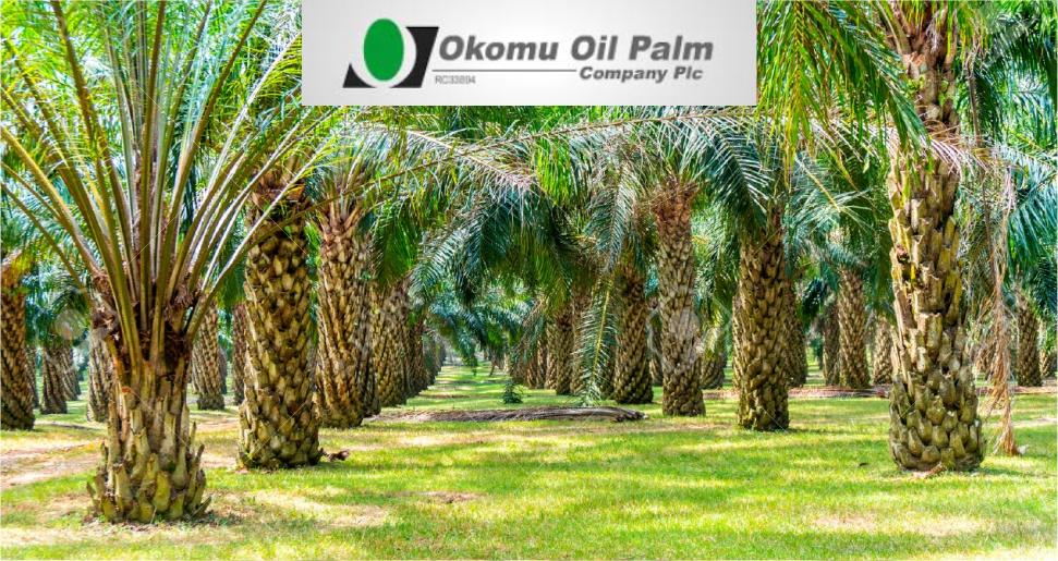 Projects Execution– Host Communities Land Okomu