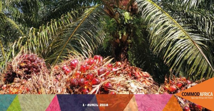 Dossier du mois : huile de palme