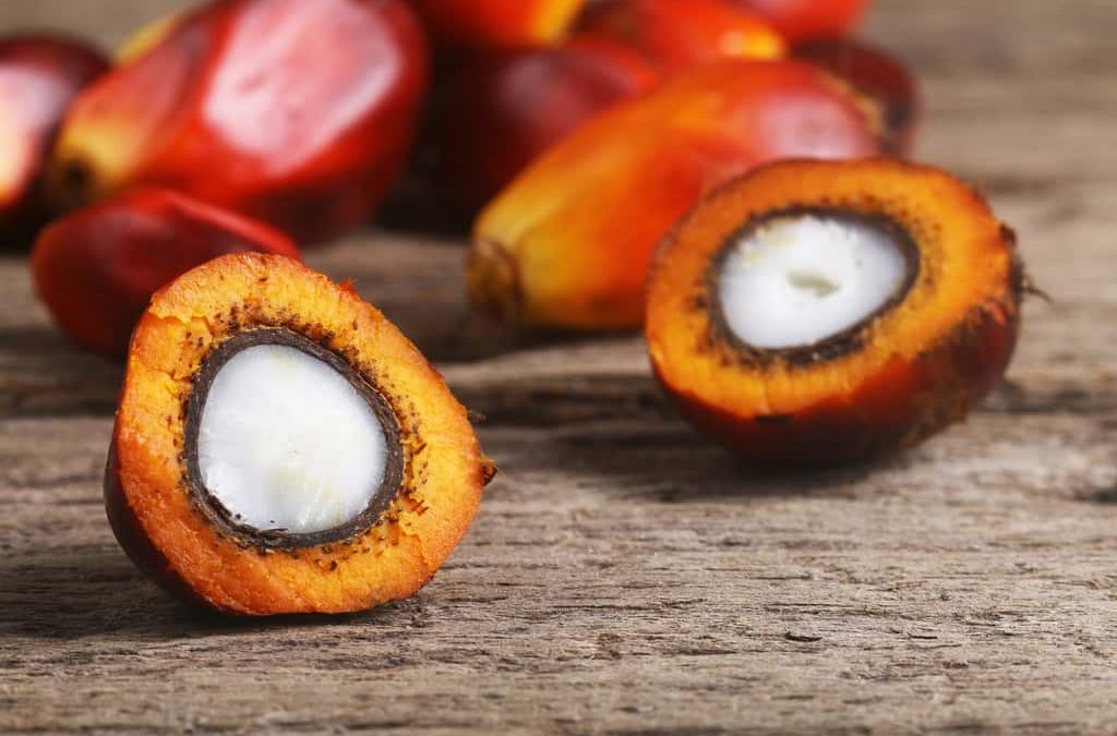 Pourquoi y a-t-il de l’huile de palme dans le Nutella ?