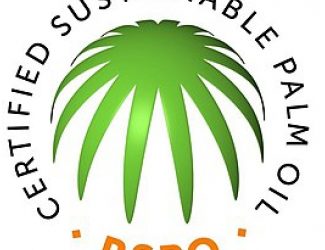 Palm oil watchdog to create separate standards for smallholders: Indonesia director