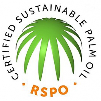 Palm oil watchdog to create separate standards for smallholders: Indonesia director