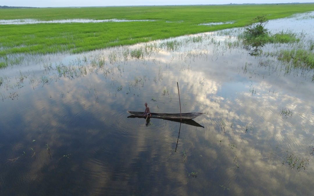 Socfin Champions Education In Malen Chiefdom