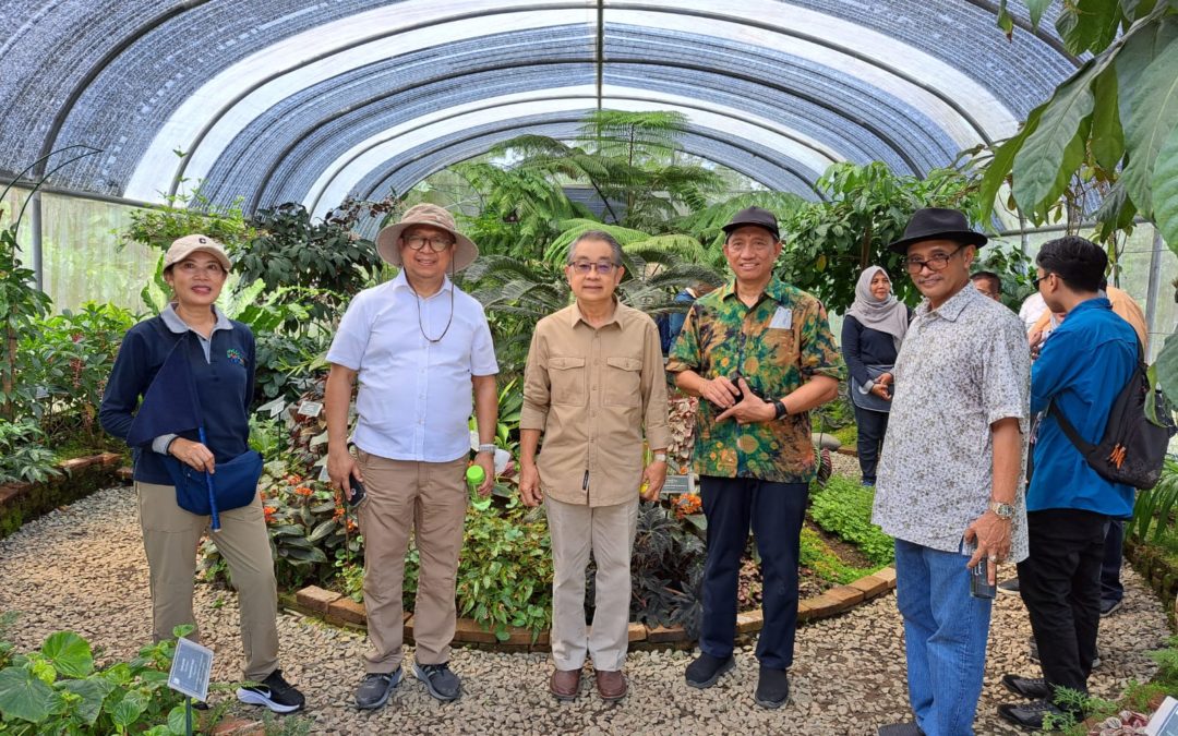 A visit from the representative of the Director General of Trade, Industry, Commodities and Intellectual Property, Ministry of Foreign Affairs of the Republic of Indonesia (en translation)